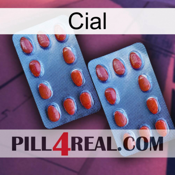 Cial 05.jpg